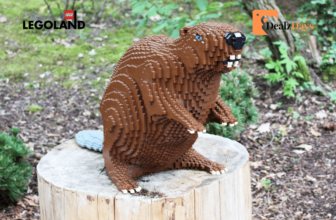 Dining at Legoland Florida: Top Restaurants and Food Stalls