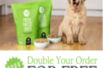 Get Joy: BUY ONE, GET ONE FREE!