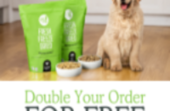 Get Joy: BUY ONE, GET ONE FREE!