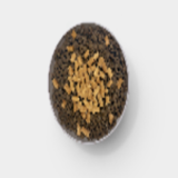 Beef Fresh Freeze Dried